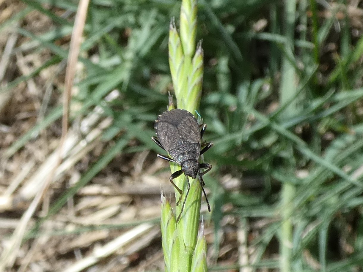 photo_1